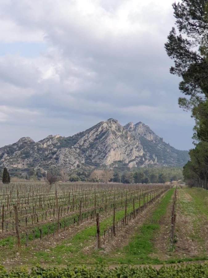 Les Estrelles Apartment Saint-Rémy-de-Provence Екстериор снимка